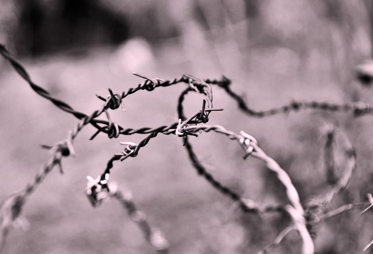 김정일 나오는 꿈, 김정일 보는 꿈