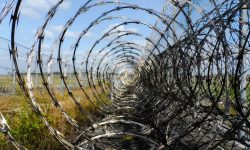 북한에서 사는 꿈