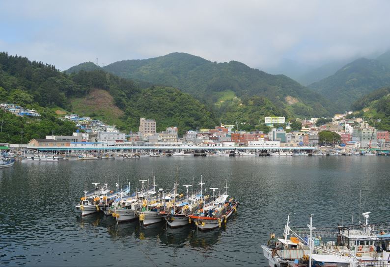 울릉도 가는 꿈