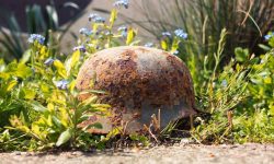 전쟁나서 피난가는 꿈