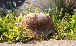 전쟁포로 꿈, 전쟁포로되는 꿈