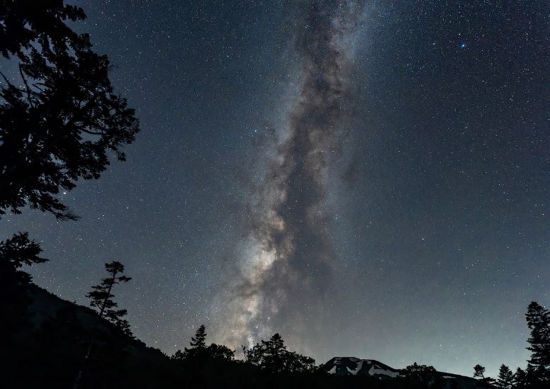 외계인 보는 꿈