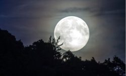 보름달 보는 꿈