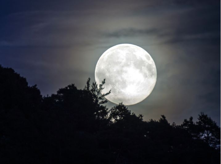 보름달 보는 꿈