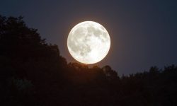 커다란 보름달 꿈