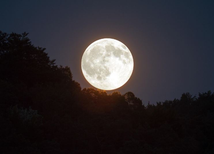 커다란 보름달 꿈