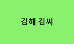 김해 김씨 연예인, 유명인