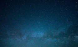 별이 반짝이는 꿈