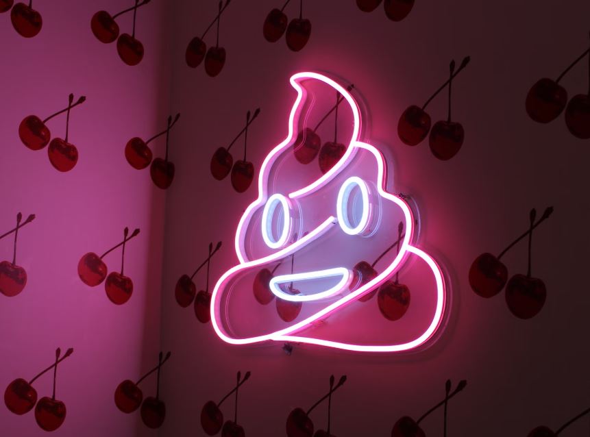 똥을 뒤집어쓴 꿈