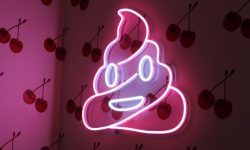 똥이 넘치는 꿈