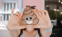 똥이 계속 나오는 꿈