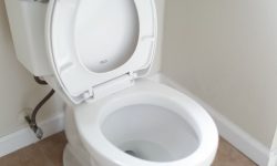 변기에 똥이 넘치는 꿈