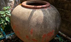 항아리를 본 꿈
