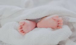 아기를 데려오는 꿈